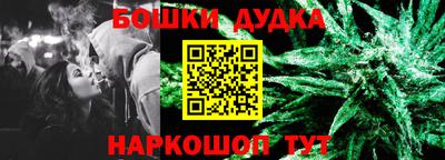 прущие грибы Ставрополь